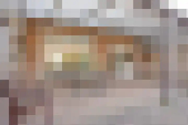 Klaproosstraat 19 Asten thumbnail 4