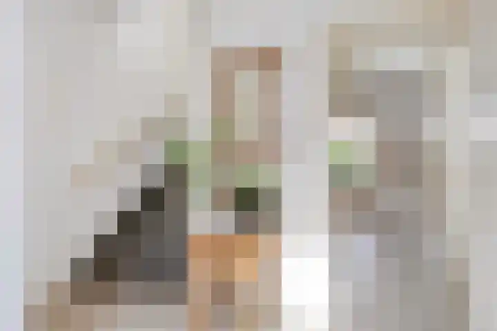 Klaproosstraat 19 Asten thumbnail 8