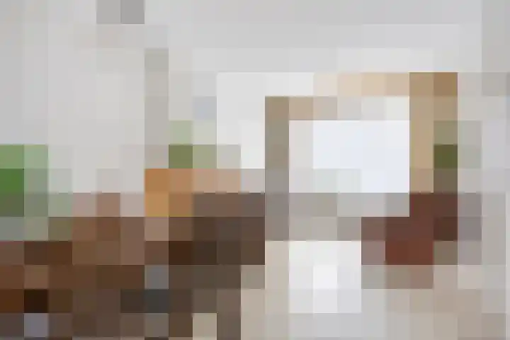 Klaproosstraat 19 Asten thumbnail 9