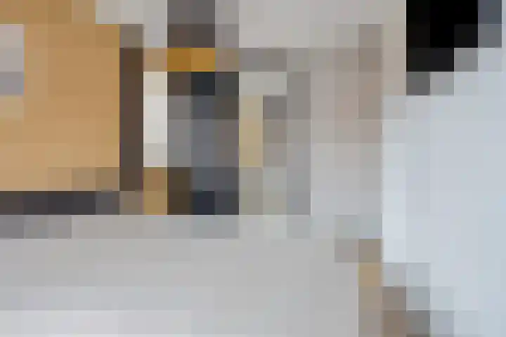 Klaproosstraat 2 Goor thumbnail 18