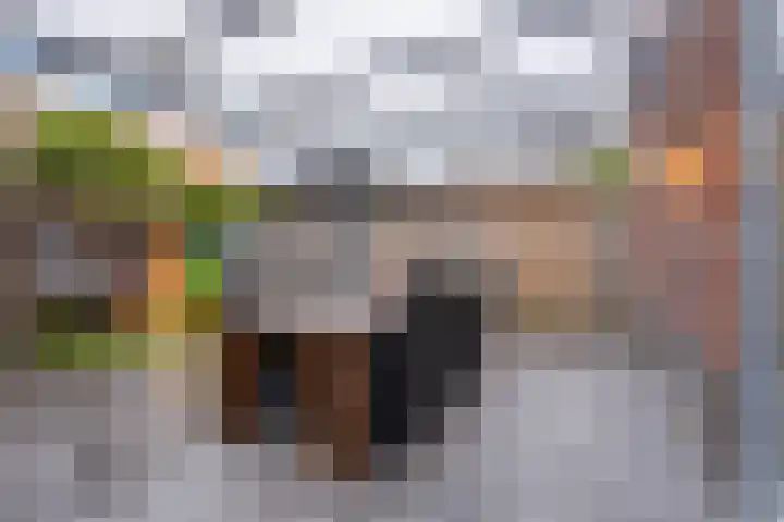 Klaproosstraat 2 Goor thumbnail 23