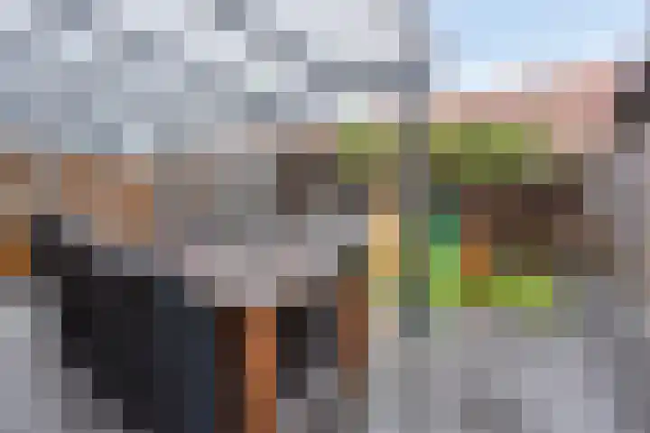 Klaproosstraat 2 Goor thumbnail 24
