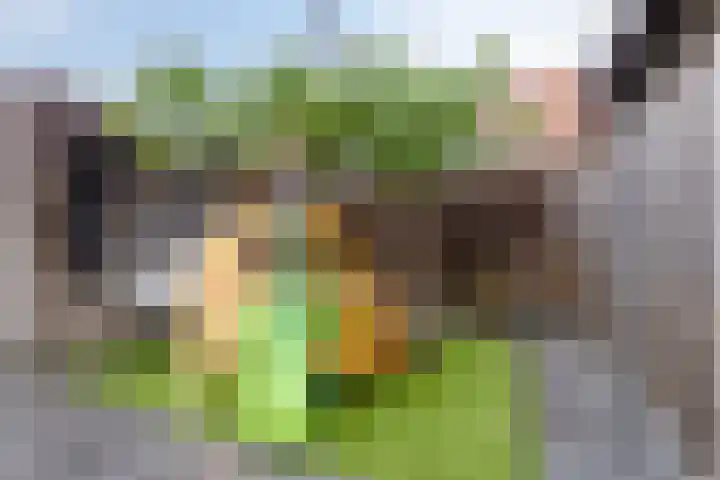 Klaproosstraat 2 Goor thumbnail 25