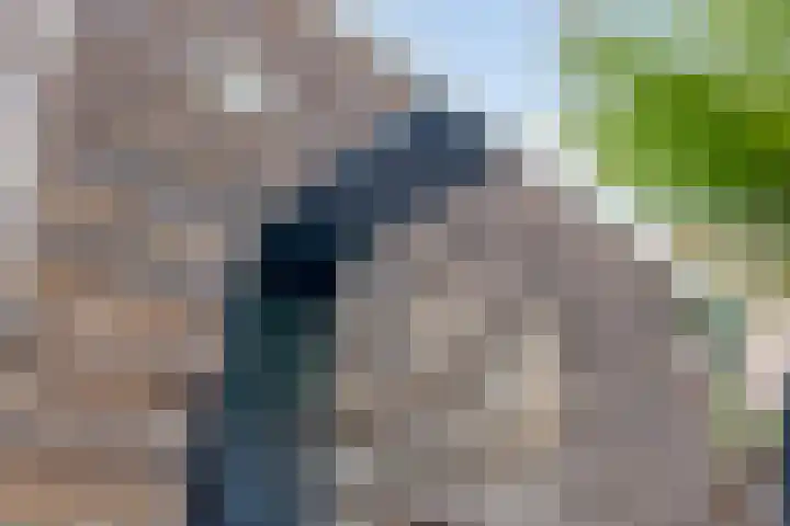 Klaproosstraat 2 Goor thumbnail 26