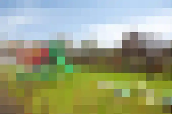 Klaproosstraat 2 Goor thumbnail 29