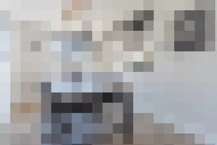 Klaproosstraat 2 Sint-Oedenrode thumbnail 24