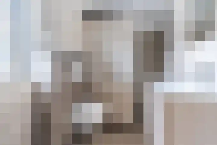 Klaproosstraat 2 Sint-Oedenrode thumbnail 9