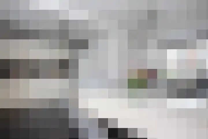 Klaproosstraat 20 a Bergeijk thumbnail 12