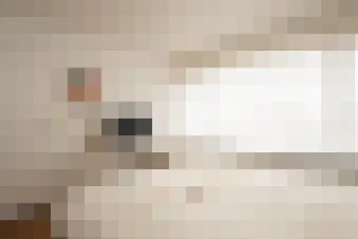 Klaproosstraat 20 a Bergeijk thumbnail 15