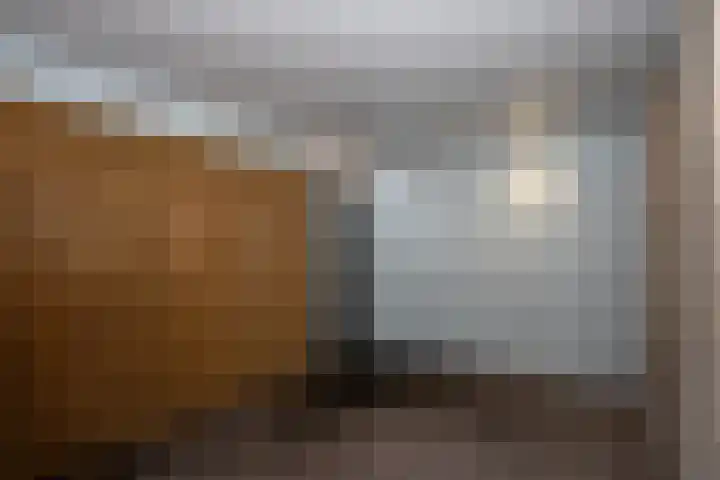 Klaproosstraat 20 a Bergeijk thumbnail 25