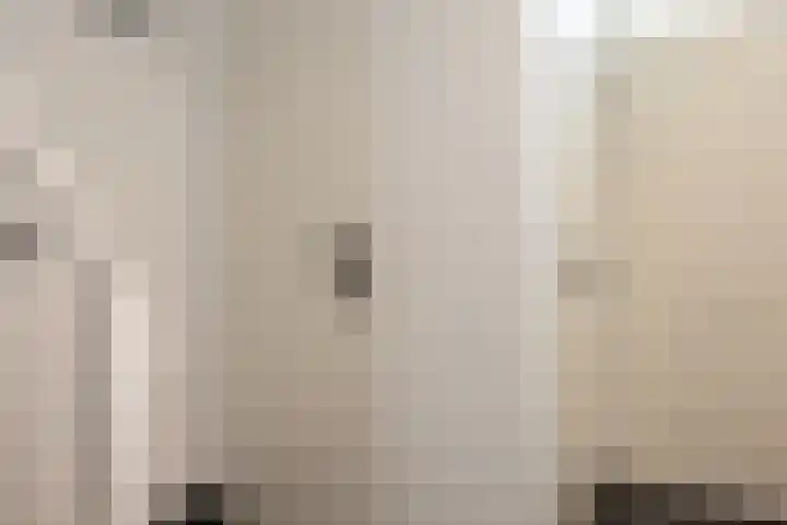 Klaproosstraat 20 a Bergeijk thumbnail 4