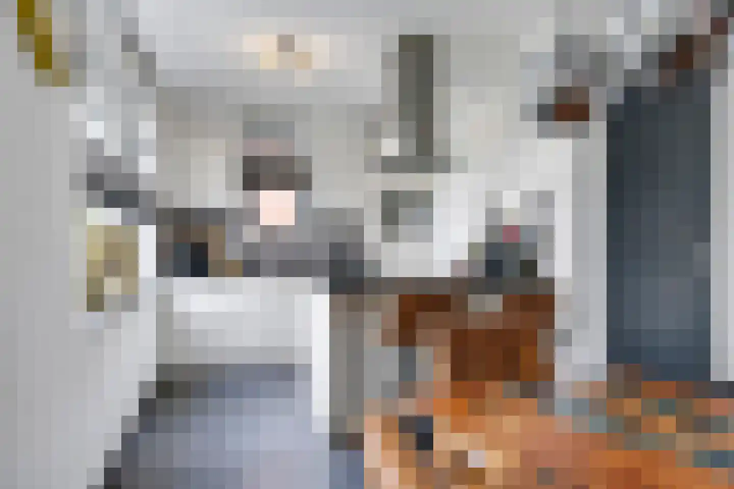 Klaproosstraat 20 A Doetinchem thumbnail 14