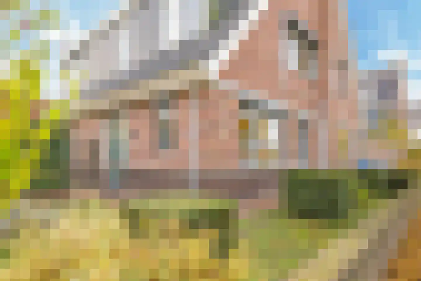 Klaproosstraat 20 A Doetinchem thumbnail 6