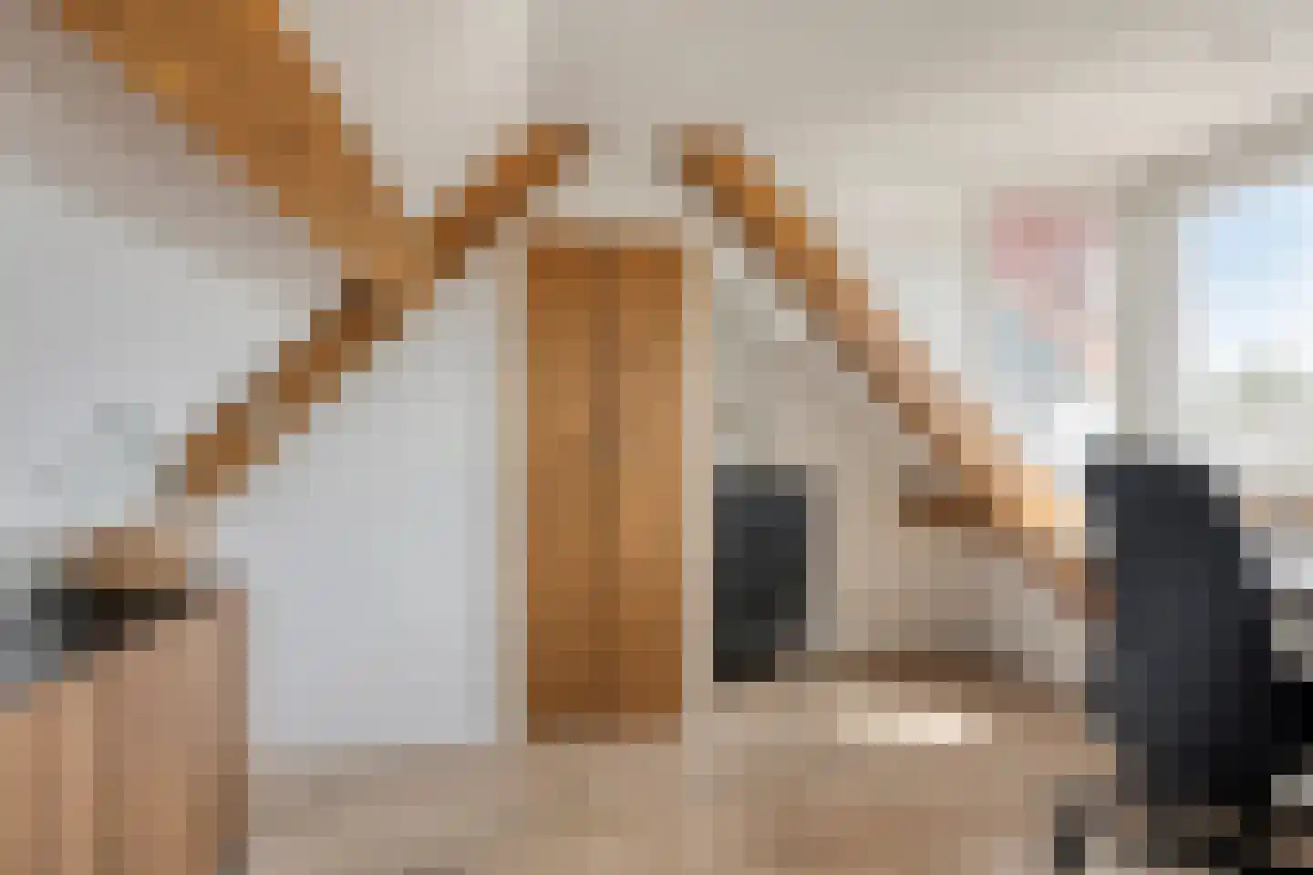 Klaproosstraat 21 Vught thumbnail 14