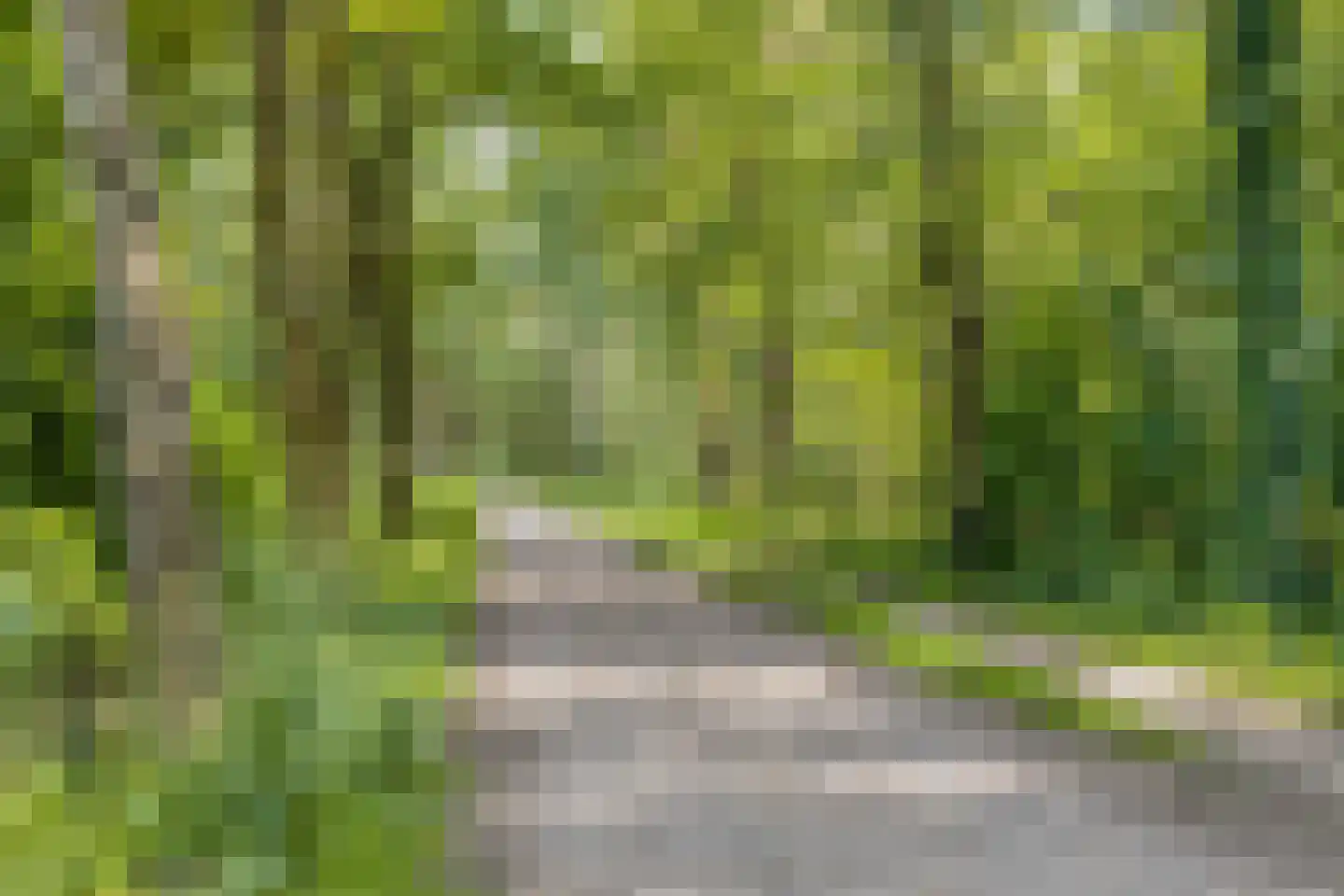 Klaproosstraat 21 Vught thumbnail 19