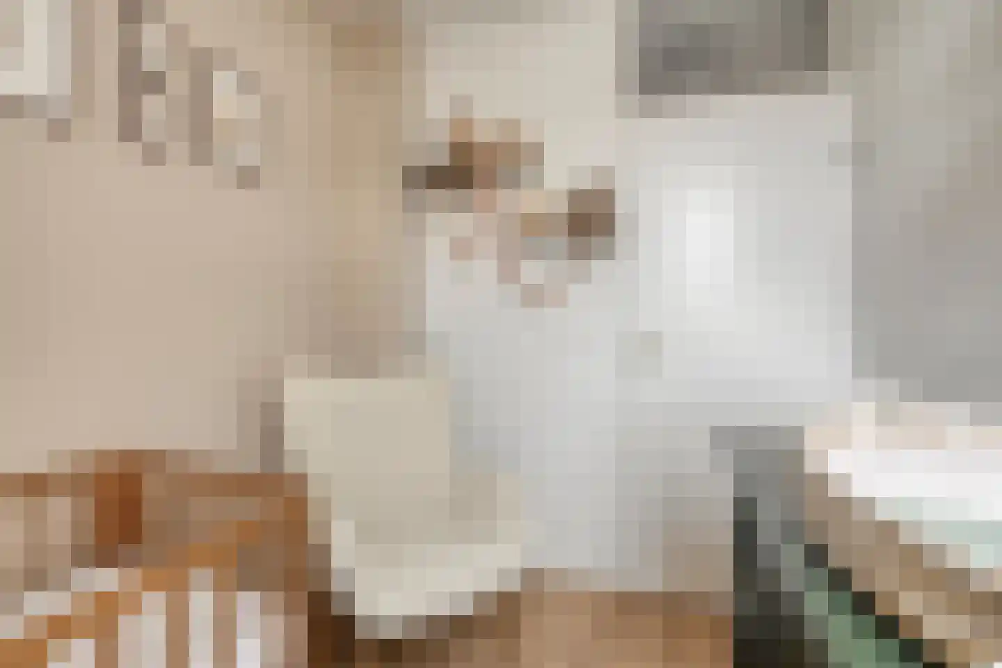 Klaproosstraat 21 Vught thumbnail 30