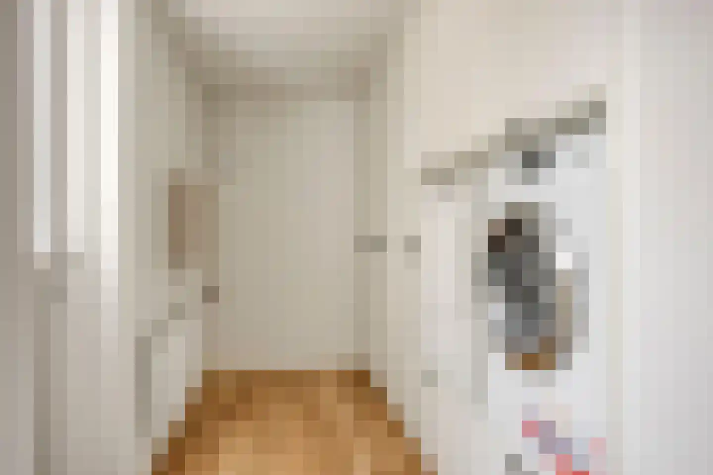 Klaproosstraat 21 Vught thumbnail 9