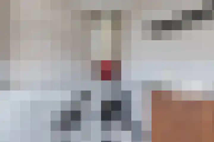 Klaproosstraat 22 Bergeijk thumbnail 15