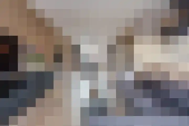 Klaproosstraat 22 Bergeijk thumbnail 7