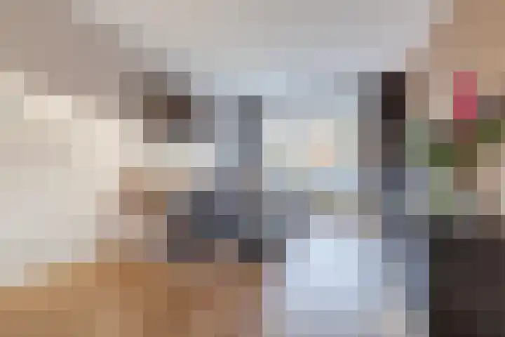 Klaproosstraat 22 Bergeijk thumbnail 8