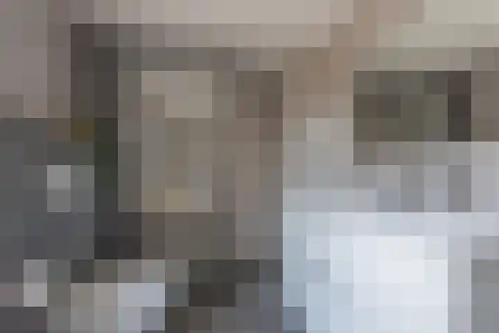 Klaproosstraat 22 Roggel thumbnail 17