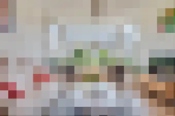 Klaproosstraat 22 Rosmalen thumbnail 6
