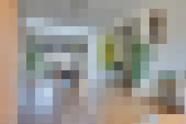 Klaproosstraat 22 Rosmalen thumbnail 7