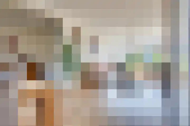 Klaproosstraat 22 Rosmalen thumbnail 8