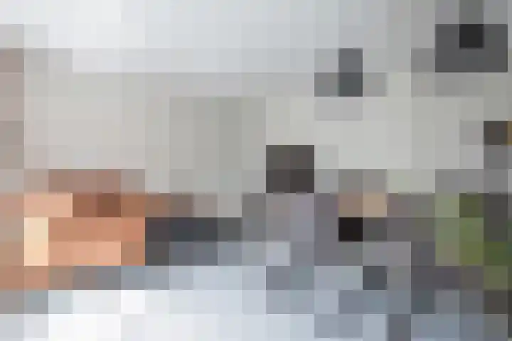 Klaproosstraat 24 Roggel thumbnail 7