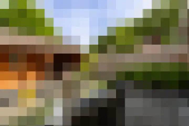 Klaproosstraat 25 Baarn thumbnail 19