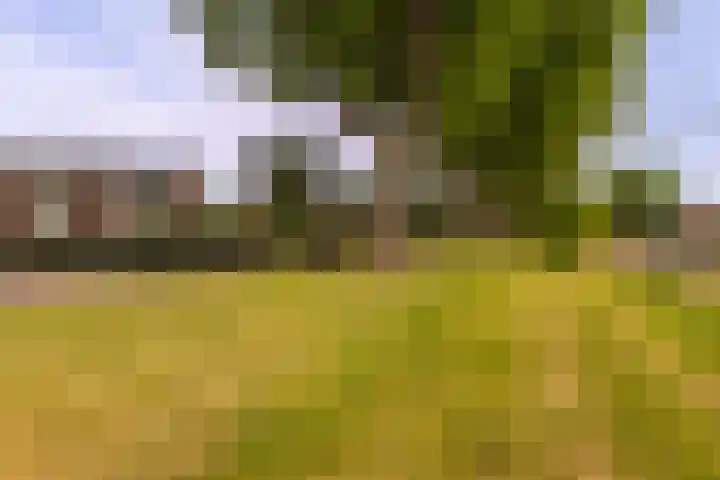 Klaproosstraat 25 Baarn thumbnail 23
