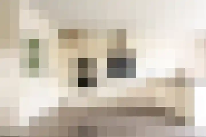 Klaproosstraat 25 Baarn thumbnail 4