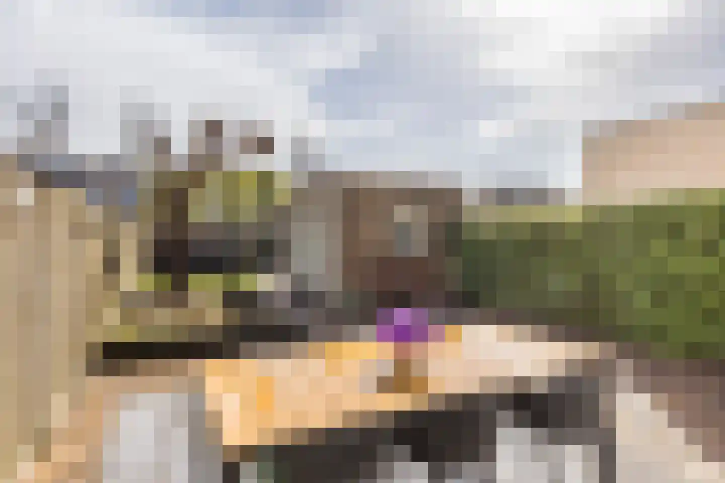 Klaproosstraat 25 Berkel-Enschot thumbnail 5