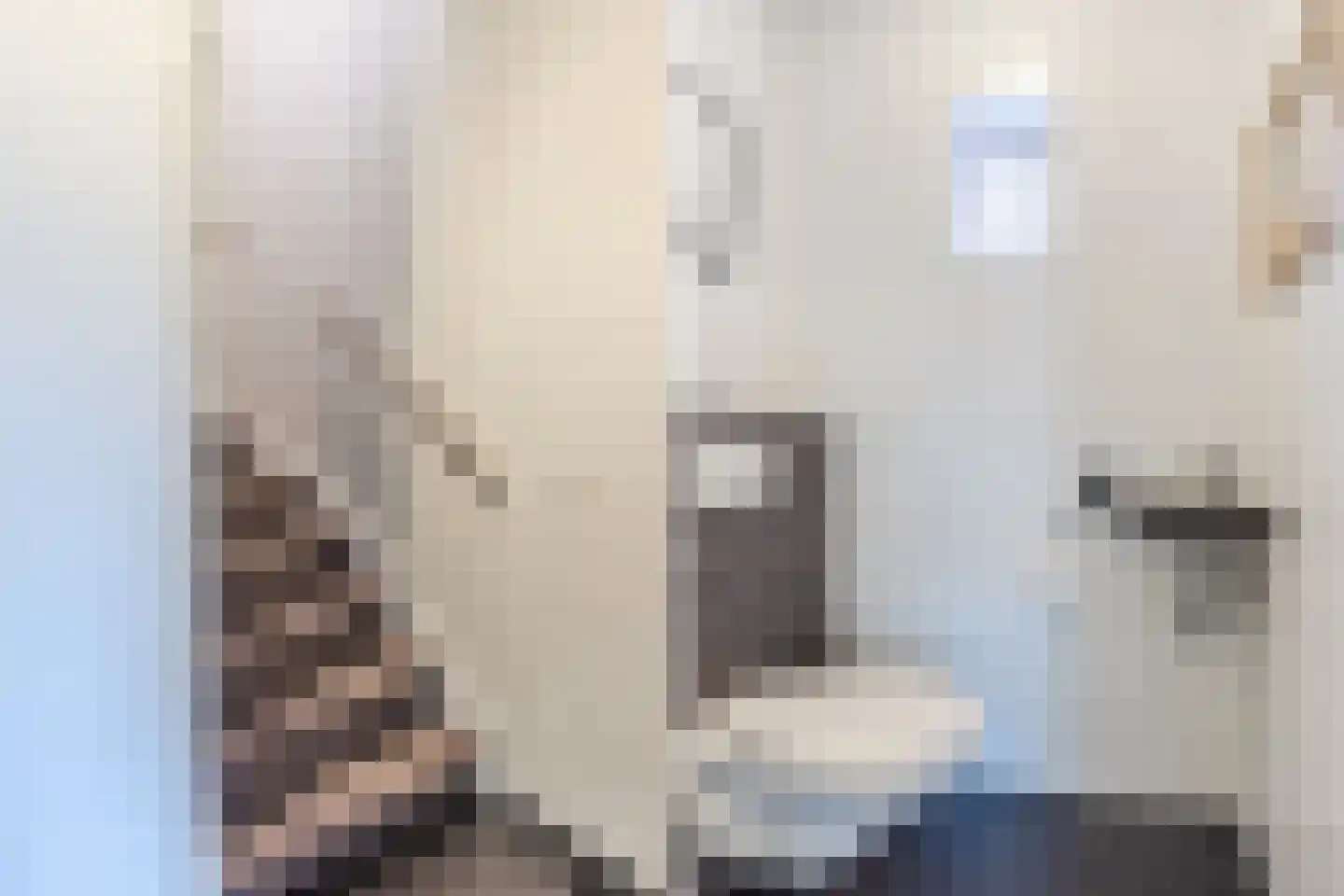 Klaproosstraat 25 Berkel-Enschot thumbnail 9
