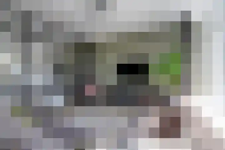 Klaproosstraat 26 Beuningen Gld thumbnail 4