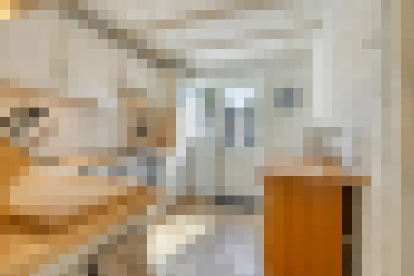 Klaproosstraat 29 Berkel-Enschot thumbnail 23
