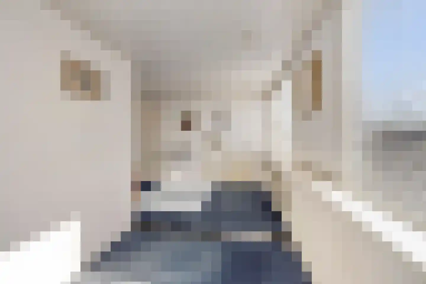 Klaproosstraat 29 Berkel-Enschot thumbnail 43