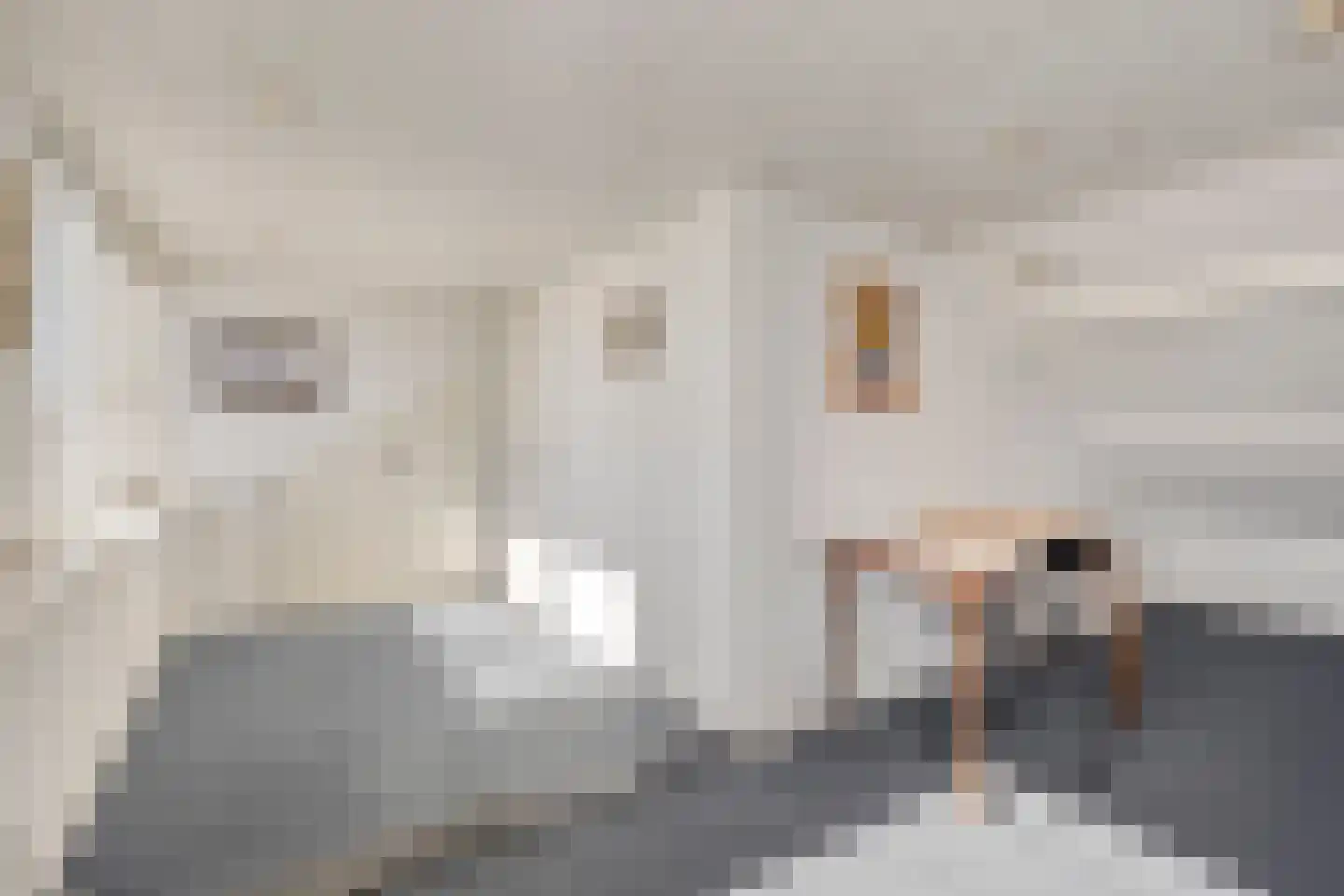 Klaproosstraat 29 Berkel-Enschot thumbnail 44