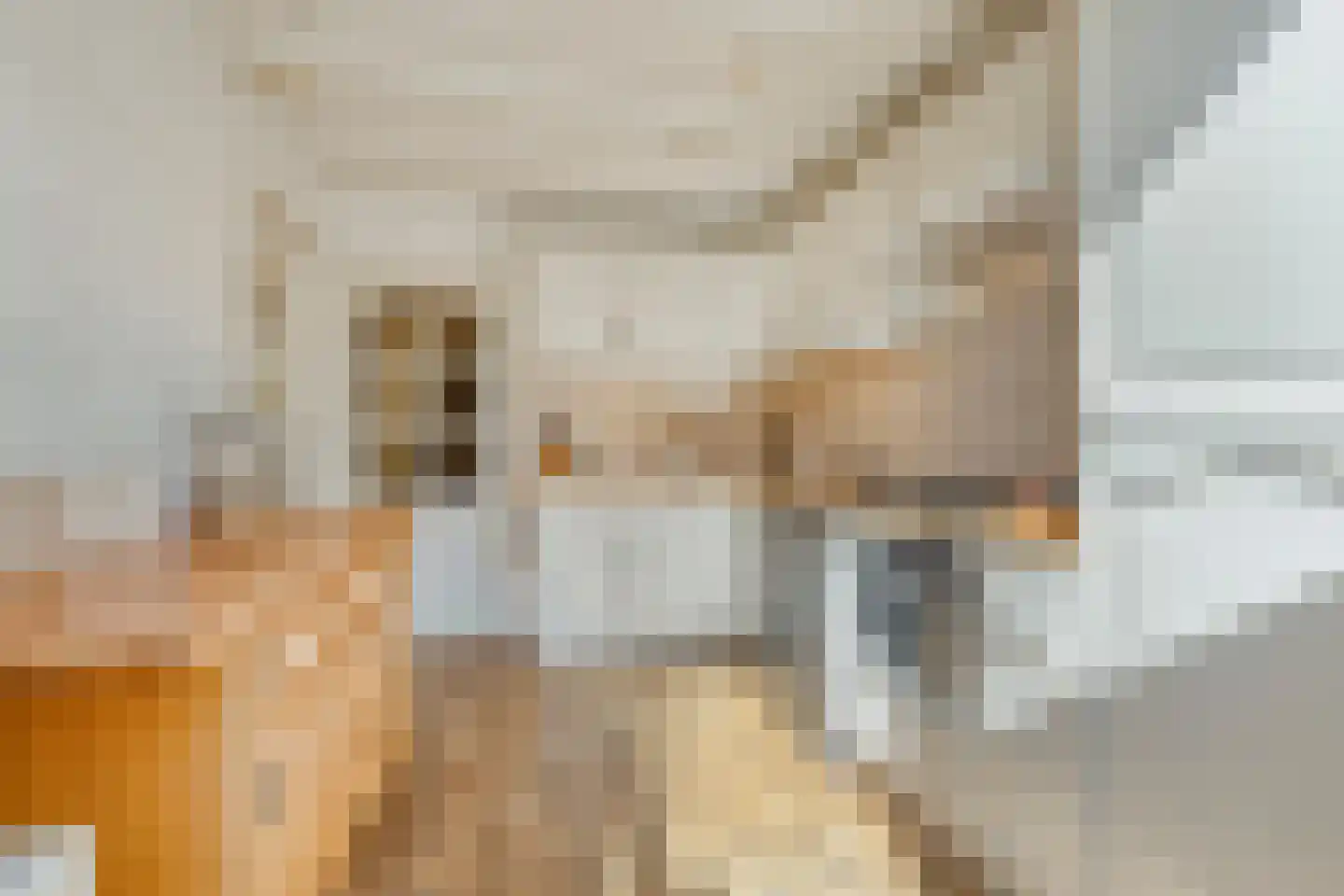 Klaproosstraat 29 Berkel-Enschot thumbnail 6