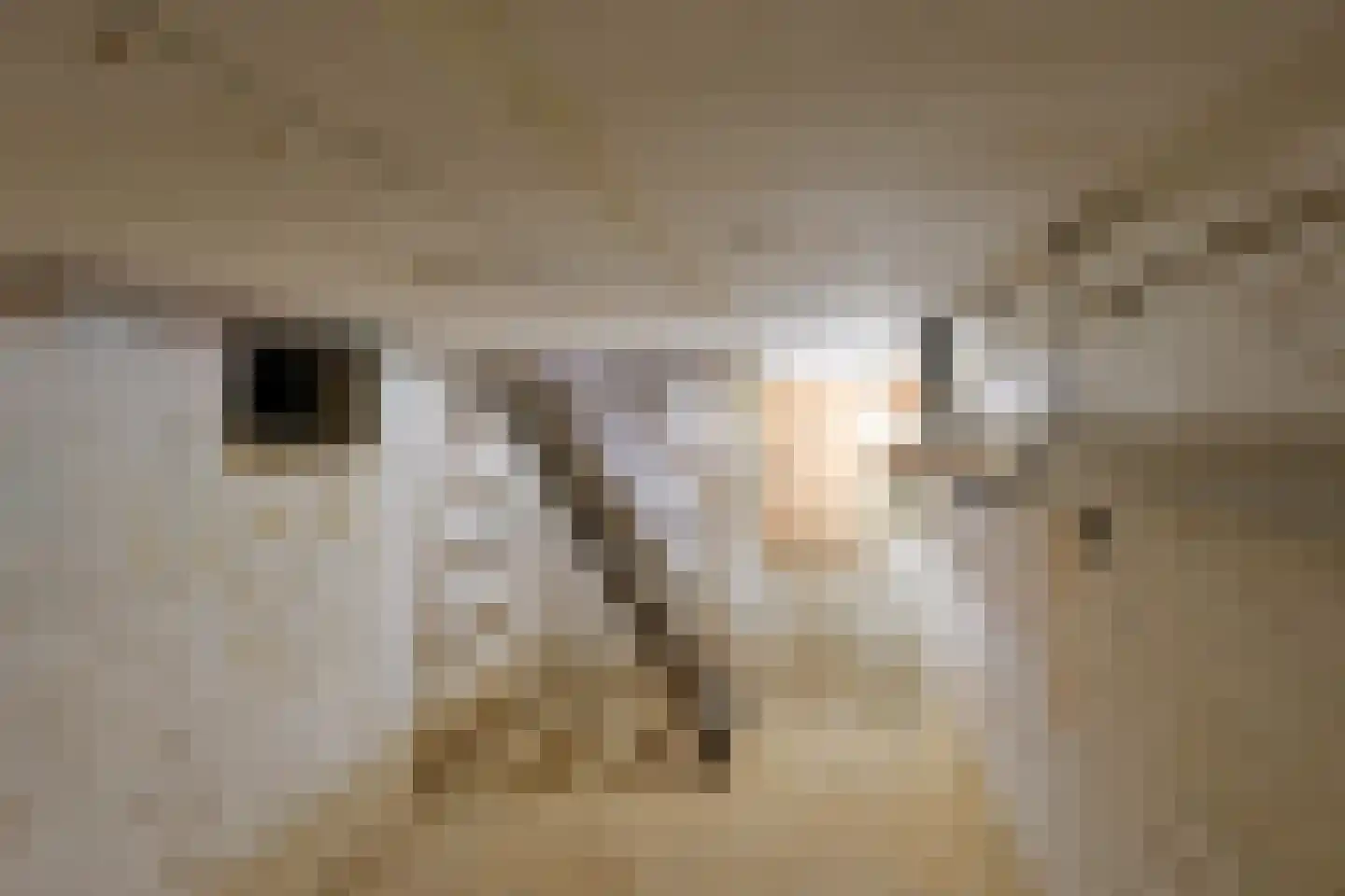 Klaproosstraat 3 Geleen thumbnail 8