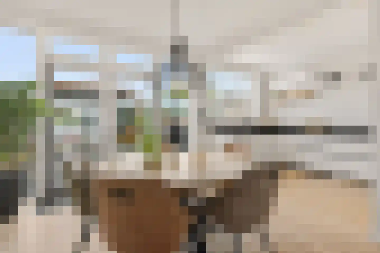 Klaproosstraat 3 Rosmalen thumbnail 13