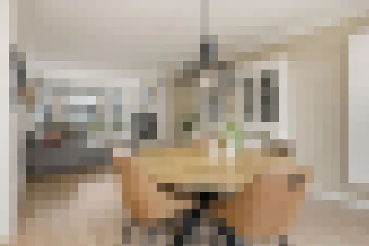 Klaproosstraat 3 Rosmalen thumbnail 14