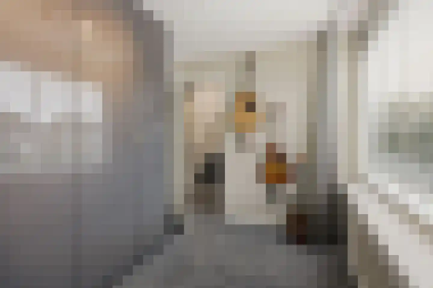 Klaproosstraat 3 Rosmalen thumbnail 19