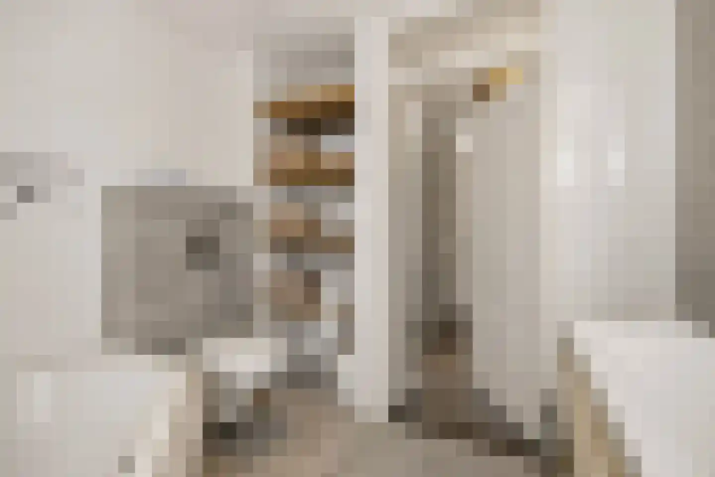 Klaproosstraat 3 Rosmalen thumbnail 22