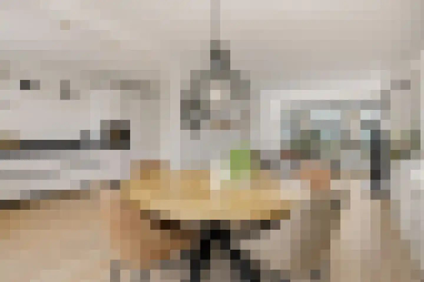 Klaproosstraat 3 Rosmalen thumbnail 4