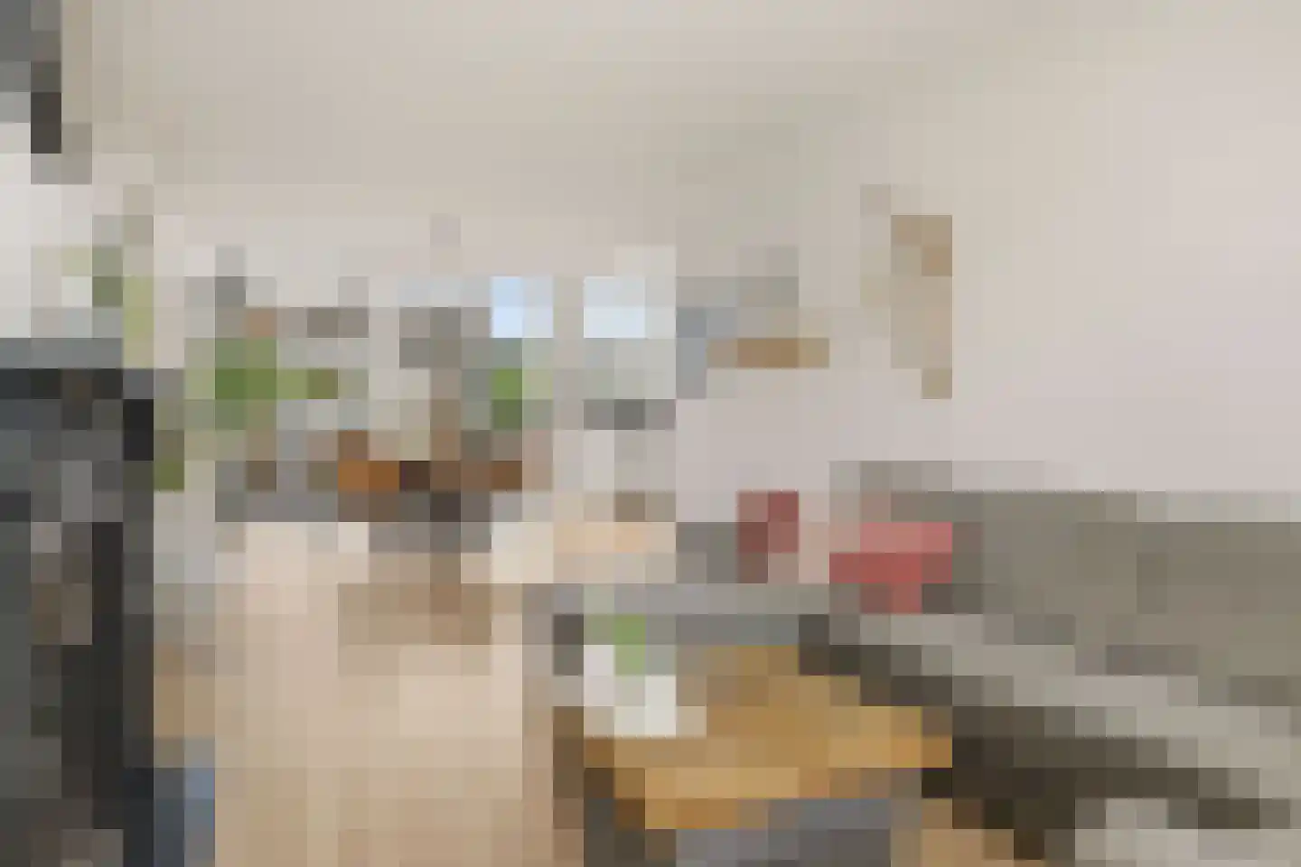Klaproosstraat 3 Rosmalen thumbnail 8