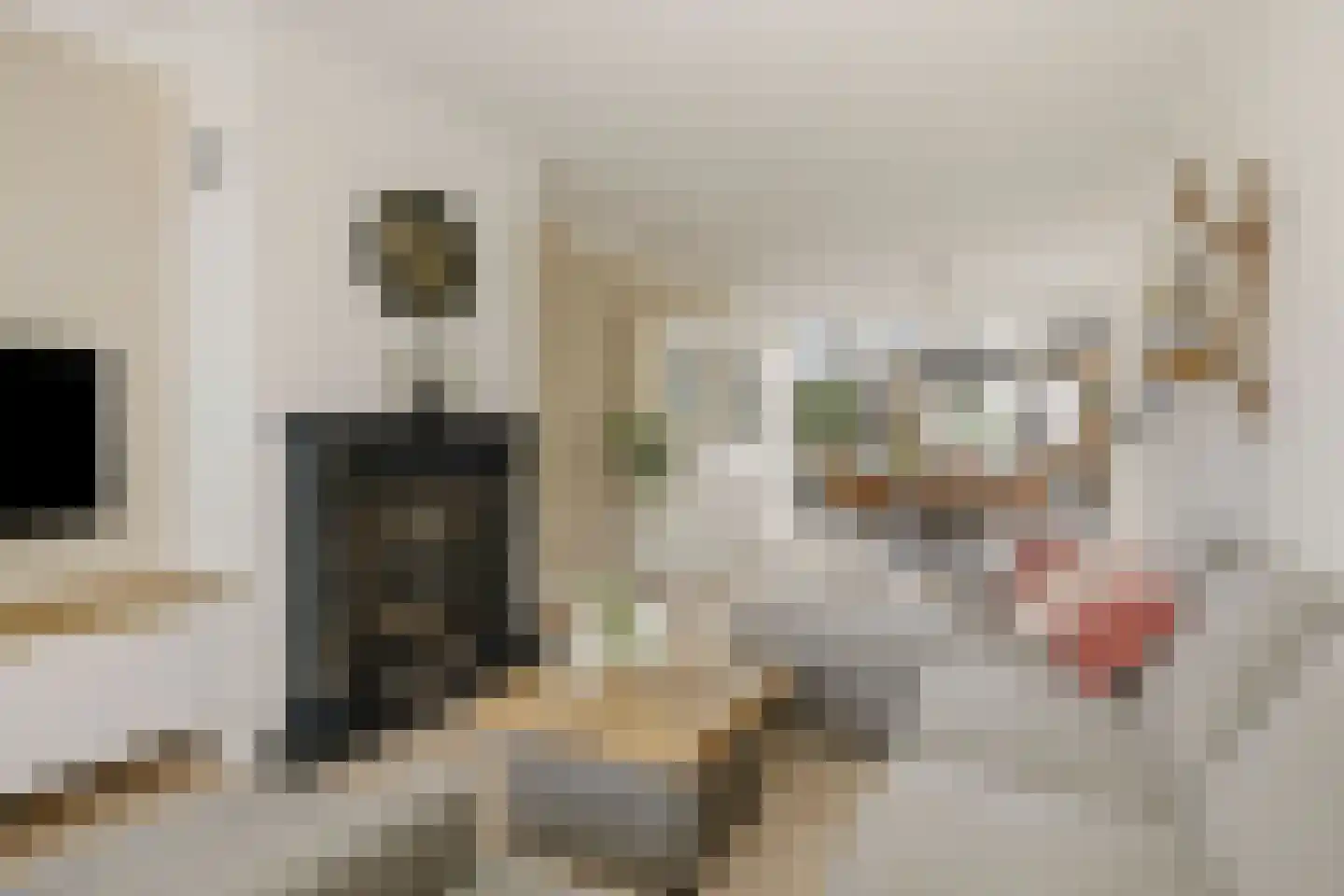 Klaproosstraat 3 Rosmalen thumbnail 9