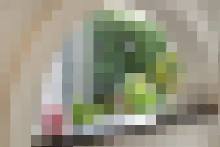 Klaproosstraat 30 Rosmalen thumbnail 11