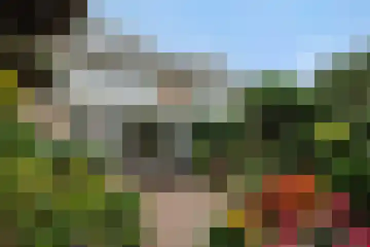 Klaproosstraat 30 Rosmalen thumbnail 18