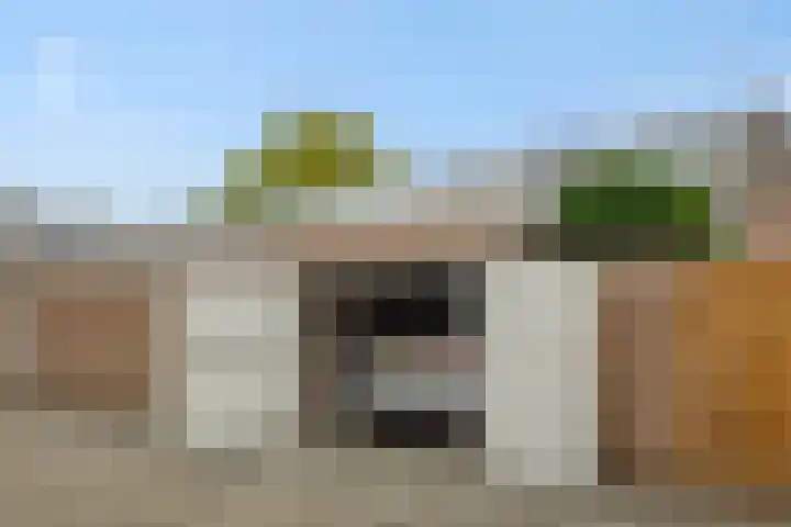 Klaproosstraat 30 Rosmalen thumbnail 23